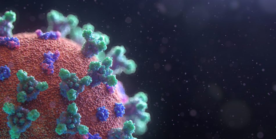 fusion-medical-animation-EAgGqOiDDMg-unsplash fusion-medical-animation-EAgGqOiDDMg-unsplash